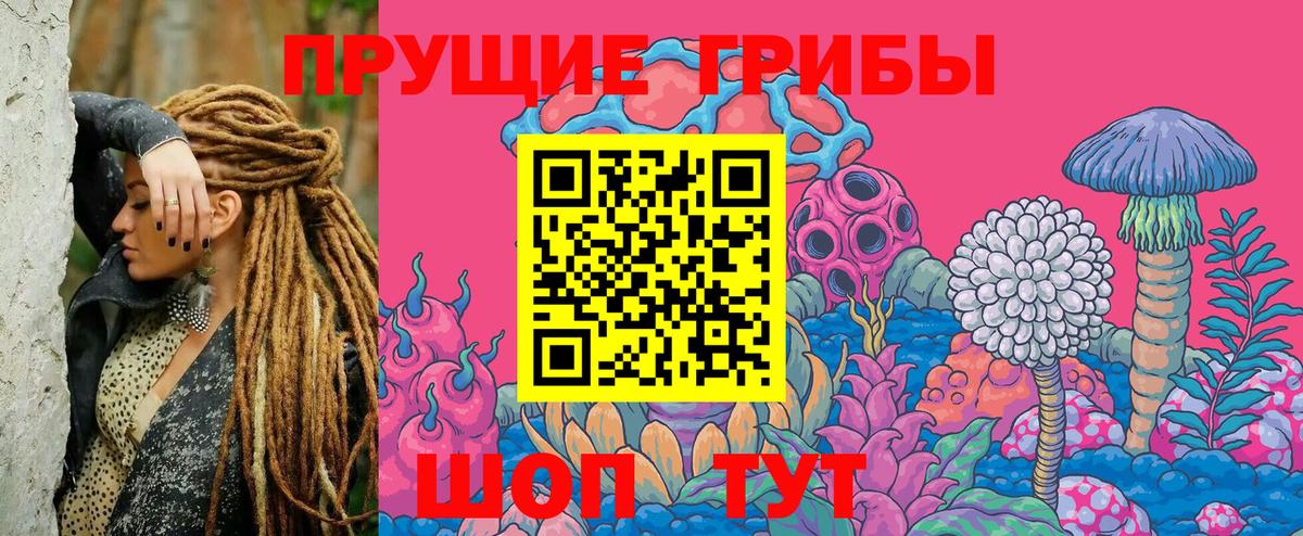 Псилоцибиновые грибы Psilocybine cubensis  Вход с VPN  Добрянка 